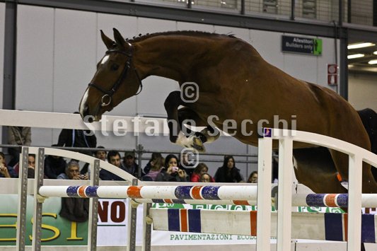 NADA BRAUN_MILANO_2010_SS3_1550.jpg